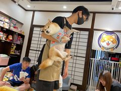-逗柴咖啡屋·狗咖猫咖宠物桌游