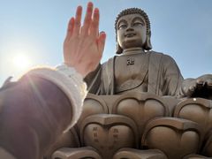 -龙口南山旅游景区