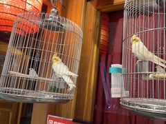 -那家小馆(摩天活力城店)