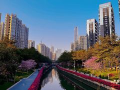 -深圳湾公园(南山区)