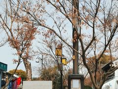 -山塘街