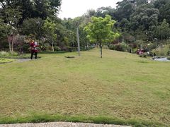 -重庆平顶山公园