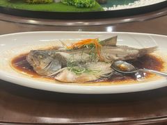 -唐山宴大唐州府精品中餐