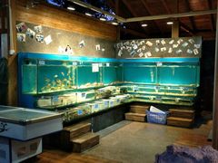 水产区-美人鱼悬崖海景餐厅(鹿嘴山庄店)