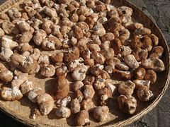 -天燕原始生态旅游区-天门垭景区