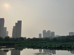 -前关湿地公园