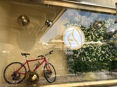 -813芭依珊 BAESAn(汇港购物中心店)