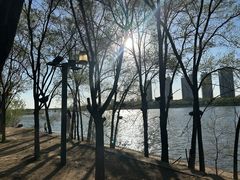 -长白岛森林公园