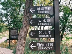 -阳台山自然风景区