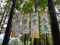 -瑶琳仙境