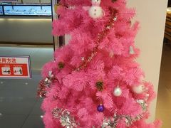 -北京华联购物中心(天通苑店)