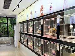 -翊宠yipet猫狗购宠庄园犬舍•猫舍