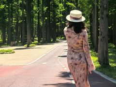 -黄海国家森林公园