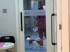 -全心全意动物诊疗中心医院(北苑店)