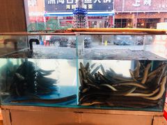 -本炙炭烤·蒲烧活鳗料理店(金沙洲店)