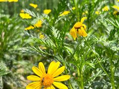 -西湖风景区-江洋畈生态公园