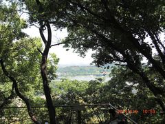 -上海佘山国家森林公园西佘山园