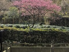 -宁波市保国寺古建筑博物馆