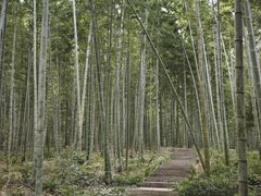 -池州市平天湖风景区