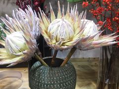 -双季花艺园艺市场(浦东店)