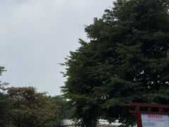 -海珠湖公园