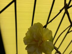 -小厨娘淮扬菜(六合欢乐港店)