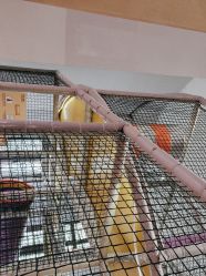 -奈尔宝·儿童乐园·亲子餐厅(星河湾店)