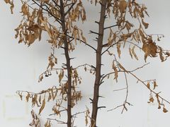 -大理床单厂艺术区