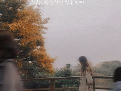 -桃花岛景观公园