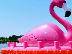 -天津水上公园