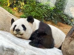 -香港海洋公园
