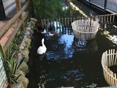 -鹅城