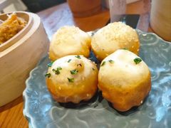 -鑫震源·苏式大虾生煎(山塘街店)