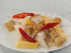 -明升萝卜汤