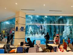 -帝企鹅自助餐厅•儿童岛•真企鹅(长隆企鹅酒店)