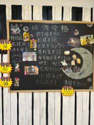 点击看大图 -神奇动物撸宠馆·羊驼·小浣熊·异宠(豫园店)