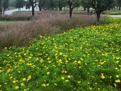 -汉长安城未央宫国家考古遗址公园