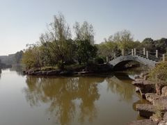 -紫薇公园