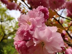 -雨花胜境
