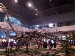 -自贡恐龙博物馆