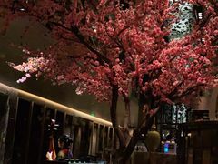 -金轩中餐厅 Jin Xuan(浦东丽思卡尔顿酒店)