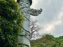 -鼎湖山风景区