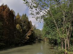 -桤木河湿地公园
