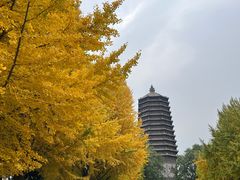 -玲珑塔公园