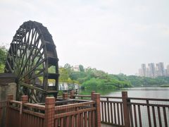 -重庆彩云湖湿地公园
