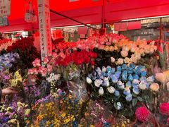 -越秀西湖花市(广州城市广场花卉店)