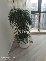 -HEYAN荷妍专业脱毛连锁机构
