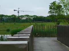 -两河城市森林公园