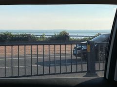 -合肥滨湖国家森林公园