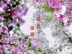 -深圳国际园林花卉博览园